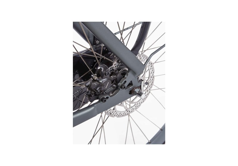 Cortina E-Nite DB7 2025 Dames - Image 11