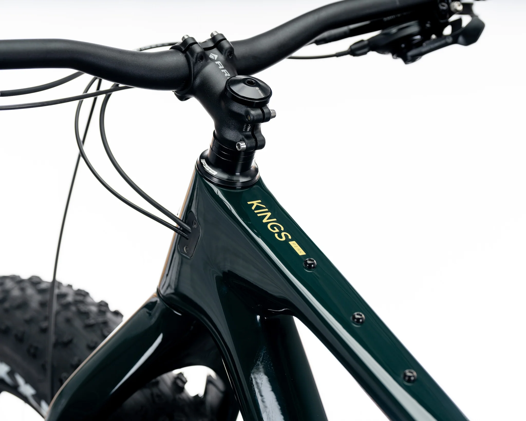 ARI KINGS PEAK FAT TIRE - Image 2