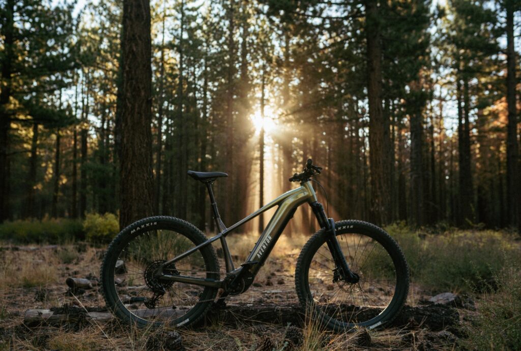 Luxe e-bikes